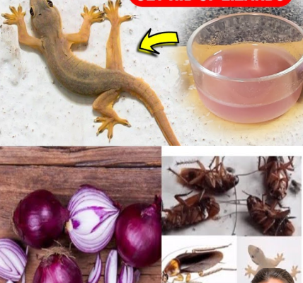 The Surprising Health Benefits of Onions for Your Home and Well-Being The Surprising Health Benefits of Onions for Your Home and Well-Being