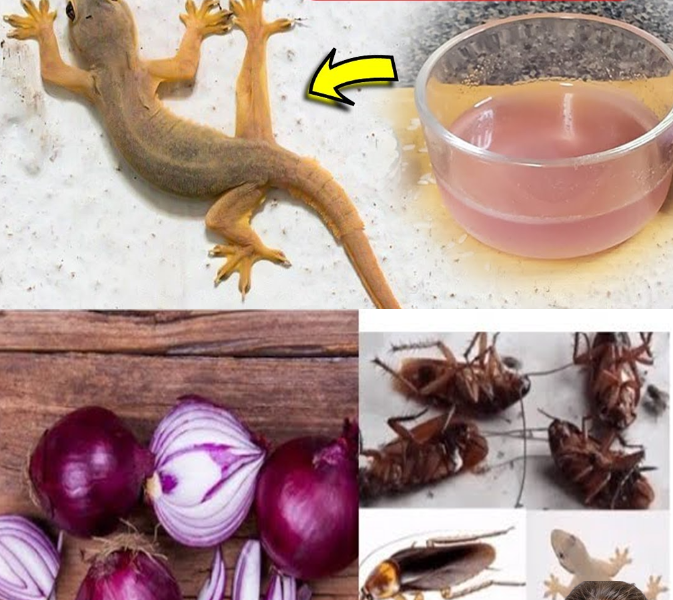 The Surprising Health Benefits of Onions for Your Home and Well-Being The Surprising Health Benefits of Onions for Your Home and Well-Being