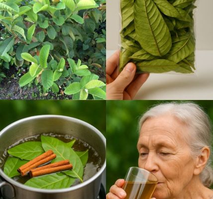 A Gentle Herbal Method to Support Kidney Health and Naturally Cleanse the Urinary System A Gentle Herbal Method to Support Kidney Health and Naturally Cleanse the Urinary System