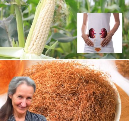 The Hidden Benefits of Corn Silk Tea: Why More Americans Are Turning to This Gentle Herbal Remedy