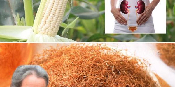 The Hidden Benefits of Corn Silk Tea: Why More Americans Are Turning to This Gentle Herbal Remedy