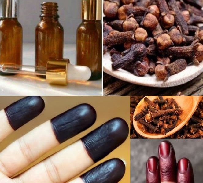 Unlock the Secret to Dark, Rich Henna Stains with This Natural Ingredient Unlock the Secret to Dark, Rich Henna Stains with This Natural Ingredient