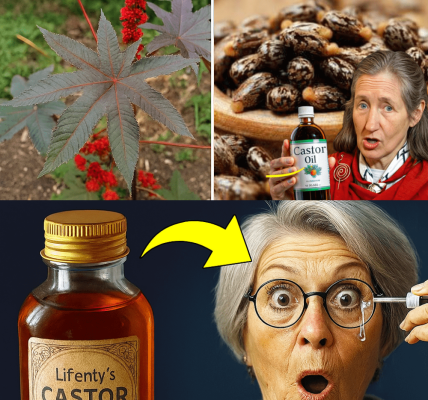 6 Compelling Reasons to Make Castor Oil Your Nightly Ritual After 30 6 Compelling Reasons to Make Castor Oil Your Nightly Ritual After 30