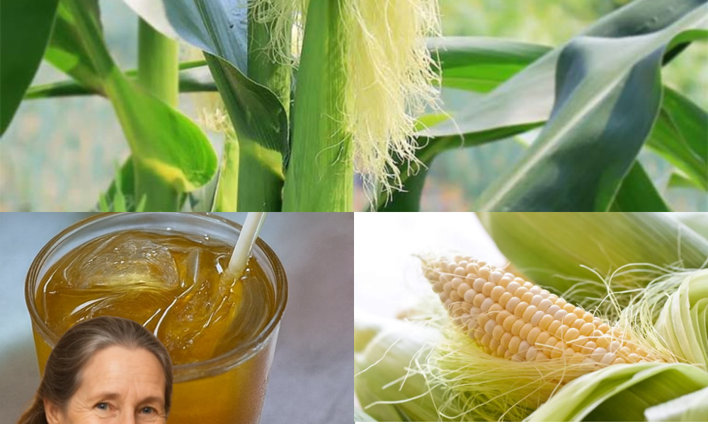 🌽 Unlock the Secret Power of Corn Silk: 30 Health Benefits to Transform Your Life