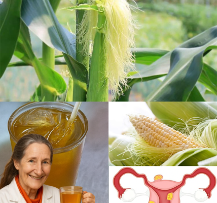 🌽 Unlock the Secret Power of Corn Silk: 30 Health Benefits to Transform Your Life 🌽 Unlock the Secret Power of Corn Silk: 30 Health Benefits to Transform Your Life