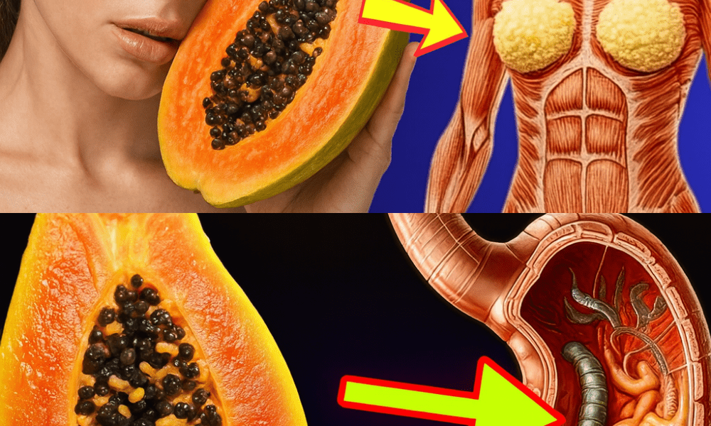 🌱 Discover the Secret Superfood: Papaya Seeds Can Transform Your Health! 🌱 Discover the Secret Superfood: Papaya Seeds Can Transform Your Health!