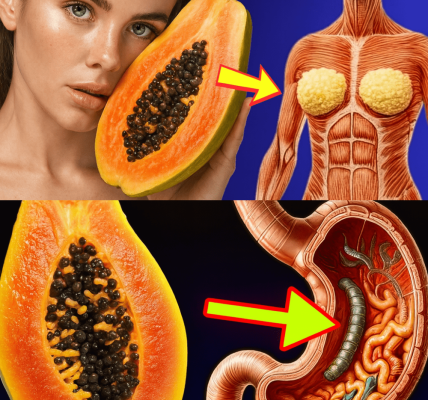 🌱 Discover the Secret Superfood: Papaya Seeds Can Transform Your Health! 🌱 Discover the Secret Superfood: Papaya Seeds Can Transform Your Health!