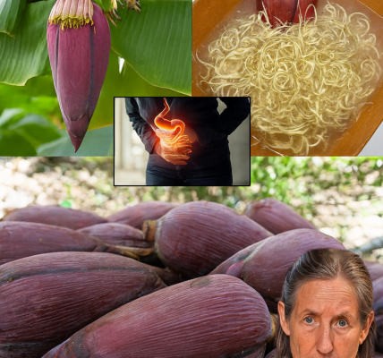 Unlock the Magic of Banana Blossom: A Nutrient-Packed Culinary Gem Unlock the Magic of Banana Blossom: A Nutrient-Packed Culinary Gem