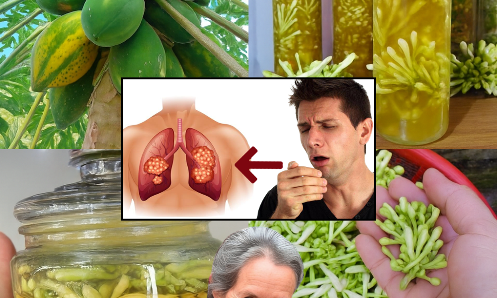 Discover Nature’s Golden Secret: Why Papaya Flowers in Honey Could Transform Your Wellness 🌿✨ Discover Nature’s Golden Secret: Why Papaya Flowers in Honey Could Transform Your Wellness 🌿✨