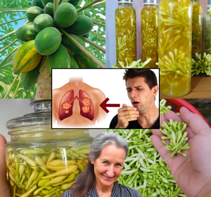 Discover Nature’s Golden Secret: Why Papaya Flowers in Honey Could Transform Your Wellness 🌿✨ Discover Nature’s Golden Secret: Why Papaya Flowers in Honey Could Transform Your Wellness 🌿✨