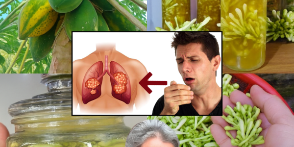 Discover Nature’s Golden Secret: Why Papaya Flowers in Honey Could Transform Your Wellness 🌿✨