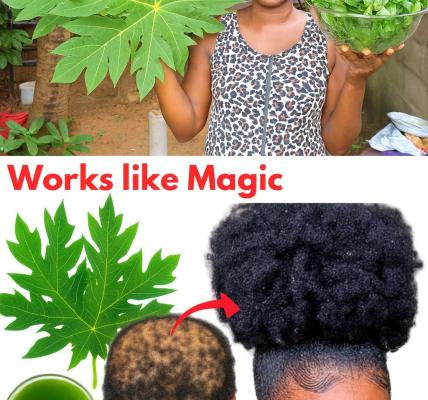 🌿 Papaya Leaves: The Secret Hair Growth Elixir You’ll Wish You Tried Sooner 🌿 Papaya Leaves: The Secret Hair Growth Elixir You’ll Wish You Tried Sooner