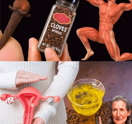 ✨ Cloves Unveiled: 12 Astonishing Benefits to Transform Your Health ✨ Cloves Unveiled: 12 Astonishing Benefits to Transform Your Health
