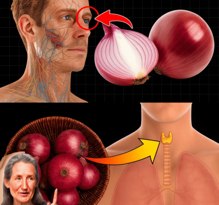 🌟 Unlock the Hidden Power of Raw Onions: 12 Surprising Health Benefits You Need to Know 🌟 Unlock the Hidden Power of Raw Onions: 12 Surprising Health Benefits You Need to Know