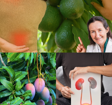 🌿 Discover the Hidden Power of Mango and Avocado Leaves for Vibrant Kidneys 🌿 Discover the Hidden Power of Mango and Avocado Leaves for Vibrant Kidneys