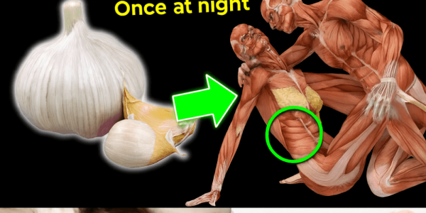 🧄 Unlock the Power of Garlic: 12 Surprising Benefits of Eating a Raw Clove Before Bed