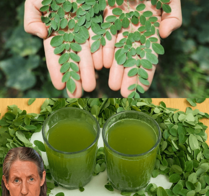 🌿 The Miracle Elixir: Unleash the Power of Moringa Juice for Vibrant Health