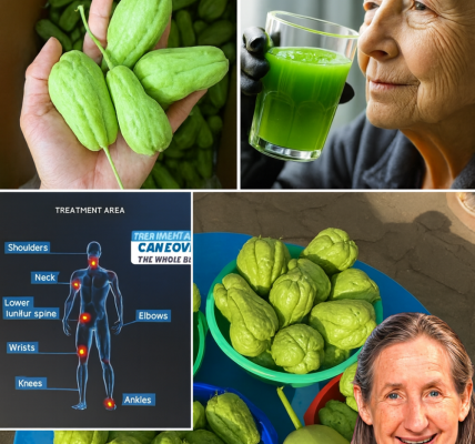 šæ Unlock the Secret to Pain-Free, Vibrant Health with Chayote Juice! šæ Unlock the Secret to Pain-Free, Vibrant Health with Chayote Juice!