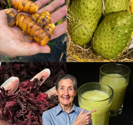 The 2025 Wellness Revolution: A Soursop, Hibiscus, and Turmeric Drink to Transform Your Health 🌿 The 2025 Wellness Revolution: A Soursop, Hibiscus, and Turmeric Drink to Transform Your Health 🌿
