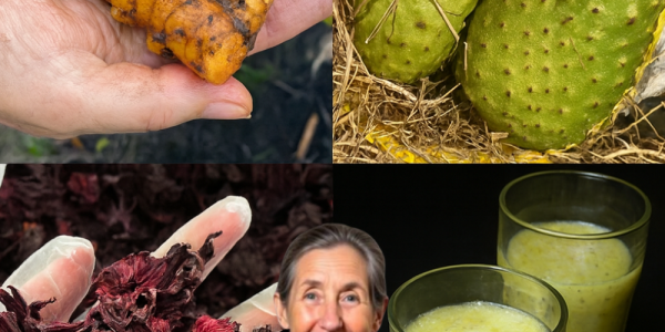 The 2025 Wellness Revolution: A Soursop, Hibiscus, and Turmeric Drink to Transform Your Health 🌿