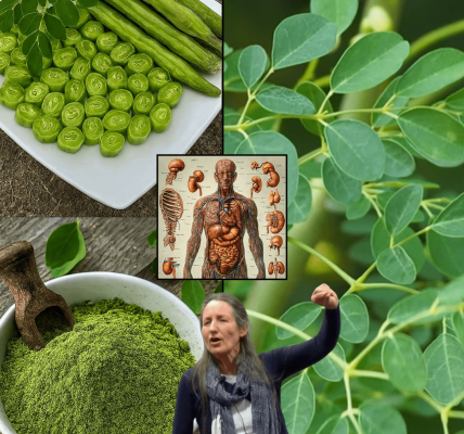Unlock the Secret of the Miracle Tree: 10 Life-Changing Benefits of Moringa Unlock the Secret of the Miracle Tree: 10 Life-Changing Benefits of Moringa