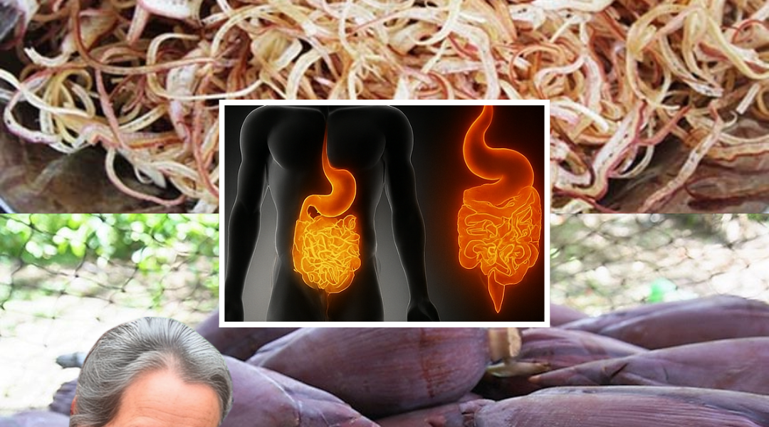 🌸 Banana Blossom: Your 5-Day Plan to Banish Diabetes, High Blood Pressure, and Stomach Pain Naturally 🌸 Banana Blossom: Your 5-Day Plan to Banish Diabetes, High Blood Pressure, and Stomach Pain Naturally