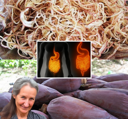 🌸 Banana Blossom: Your 5-Day Plan to Banish Diabetes, High Blood Pressure, and Stomach Pain Naturally 🌸 Banana Blossom: Your 5-Day Plan to Banish Diabetes, High Blood Pressure, and Stomach Pain Naturally