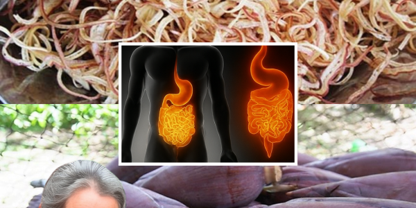 🌸 Banana Blossom: Your 5-Day Plan to Banish Diabetes, High Blood Pressure, and Stomach Pain Naturally 🌸 Banana Blossom: Your 5-Day Plan to Banish Diabetes, High Blood Pressure, and Stomach Pain Naturally