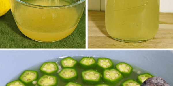 Unlock Vibrant Health with Okra Water: 7 Amazing Benefits You’ll Wish You Knew Sooner 🌱💧 Unlock Vibrant Health with Okra Water: 7 Amazing Benefits You’ll Wish You Knew Sooner 🌱💧