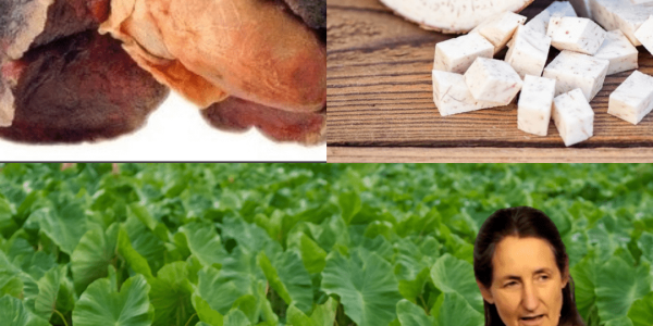 🌱 Taro Unraveled: The Hidden Power of This Ancient Root 🌱 Taro Unraveled: The Hidden Power of This Ancient Root