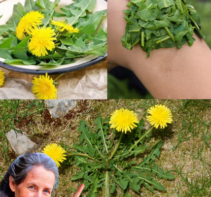 šæ Unlock the Hidden Power of Dandelions: Natureās Superfood Secret! šæ Unlock the Hidden Power of Dandelions: Natureās Superfood Secret!