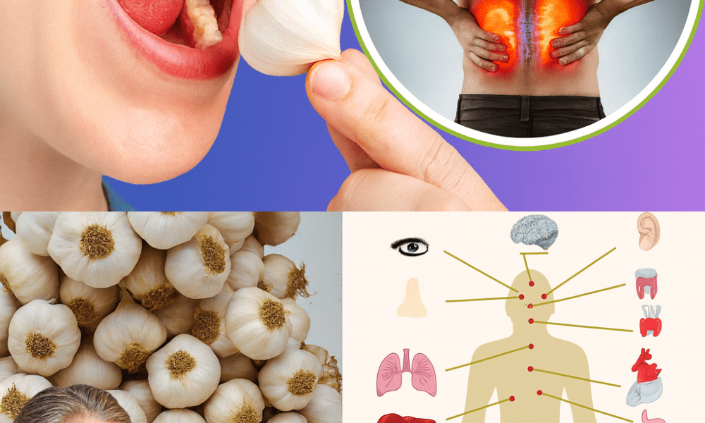 The Garlic Revolution: 10 Life-Changing Benefits of Eating 2 Raw Cloves Daily! š§ The Garlic Revolution: 10 Life-Changing Benefits of Eating 2 Raw Cloves Daily! š§