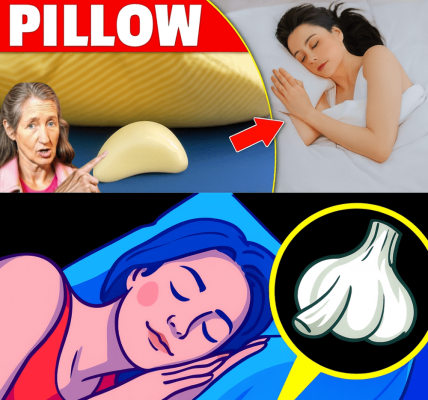 Can a Garlic Clove Under Your Pillow Unlock the Secret to Perfect Sleep? Can a Garlic Clove Under Your Pillow Unlock the Secret to Perfect Sleep?