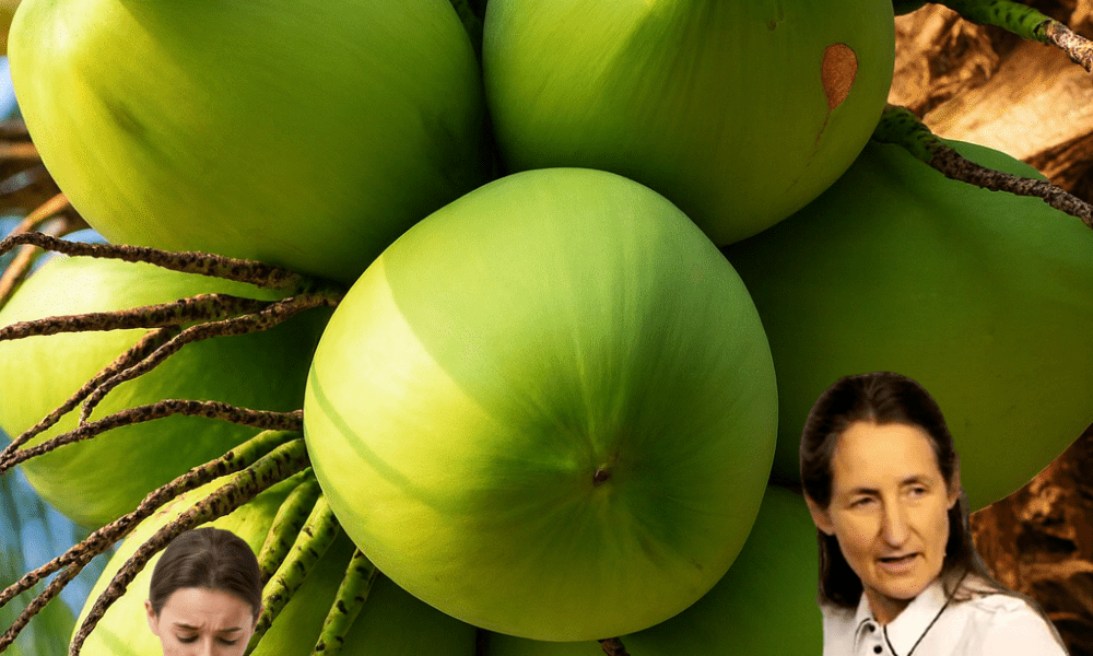 11 Mind-Blowing Coconut Secrets You’ll Wish You Knew Sooner 11 Mind-Blowing Coconut Secrets You’ll Wish You Knew Sooner