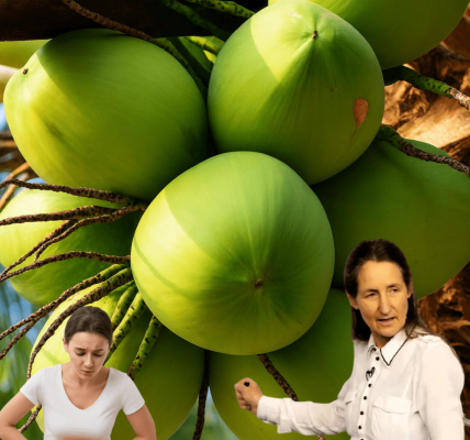 11 Mind-Blowing Coconut Secrets You’ll Wish You Knew Sooner 11 Mind-Blowing Coconut Secrets You’ll Wish You Knew Sooner