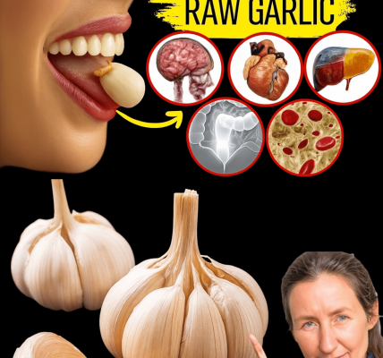 Unlock the Nighttime Power of Garlic: Transform Your Health While You Sleep Unlock the Nighttime Power of Garlic: Transform Your Health While You Sleep