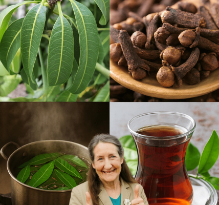 🌿 Unlock the Secret to Vibrant Health: 8 Compelling Reasons to Drink Mango Leaf and Clove Tea Daily After 30 🌿 Unlock the Secret to Vibrant Health: 8 Compelling Reasons to Drink Mango Leaf and Clove Tea Daily After 30