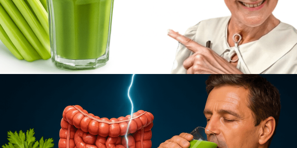 🥬 Celery Juice: The Miracle Drink That Will Leave Doctors Speechless! 🥬 Celery Juice: The Miracle Drink That Will Leave Doctors Speechless!