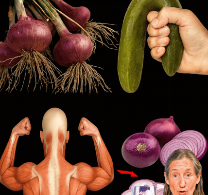 🧅 Unleash Your Inner Strength: 7 Ways Onions Supercharge Male Vitality & Combat ED! 🧅 Unleash Your Inner Strength: 7 Ways Onions Supercharge Male Vitality & Combat ED!