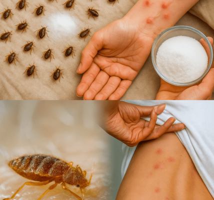 🌱 Zap Garden Bedbugs in Minutes: The Surprising Salt Trick You’ll Wish You Knew Sooner 🌱 Zap Garden Bedbugs in Minutes: The Surprising Salt Trick You’ll Wish You Knew Sooner