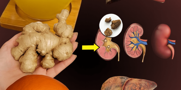 🌿 Revitalize Your Body: The Ultimate Guide to Naturally Detox Your Kidneys, Liver, and Lungs 🌿 Revitalize Your Body: The Ultimate Guide to Naturally Detox Your Kidneys, Liver, and Lungs