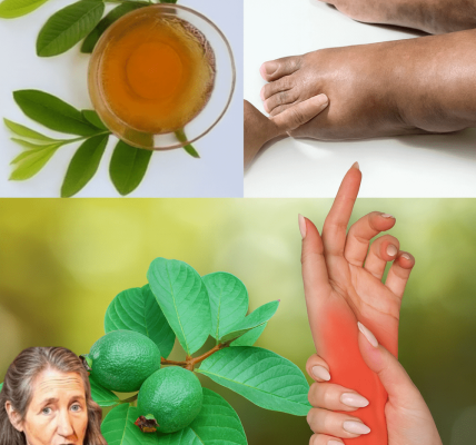 🌿 Say Goodbye to Bloating: The Surprising Power of Guava Leaf Tea for Water Retention!