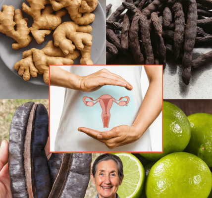 🌿 Gbogbo Nise: The Ancient Elixir Revolutionizing Women’s Health 🌿 Gbogbo Nise: The Ancient Elixir Revolutionizing Women’s Health