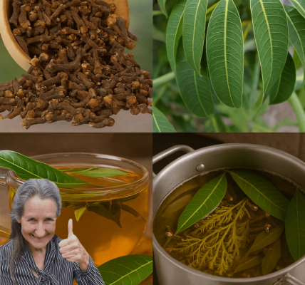 🌿 Discover the Magic of Mango Leaf and Clove Tea: Your Daily Wellness Ritual Awaits 🌿 Discover the Magic of Mango Leaf and Clove Tea: Your Daily Wellness Ritual Awaits