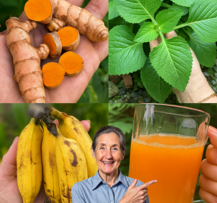 🌿 The Miracle Drink That Changed My Life at 60: A Powerful Blend of Turmeric, Banana, and Oregano 🌿 The Miracle Drink That Changed My Life at 60: A Powerful Blend of Turmeric, Banana, and Oregano