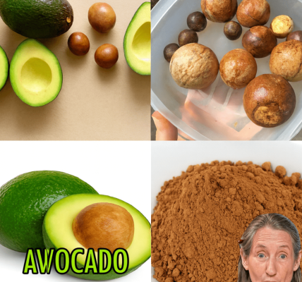 🥑 The Secret Superfood: Unleashing the Power of Avocado Seed Powder 🥑 The Secret Superfood: Unleashing the Power of Avocado Seed Powder
