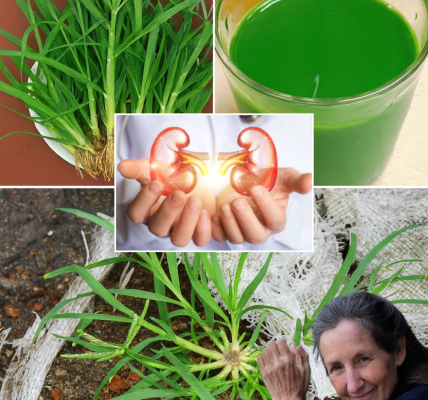 šæ Uncover the Hidden Power of Goosegrass: Natureās Overlooked Super Herb šæ Uncover the Hidden Power of Goosegrass: Natureās Overlooked Super Herb