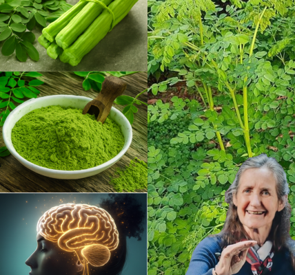 🌿 Unveiling Moringa: Nature’s Quiet Superfood Revolution 🌿 Unveiling Moringa: Nature’s Quiet Superfood Revolution