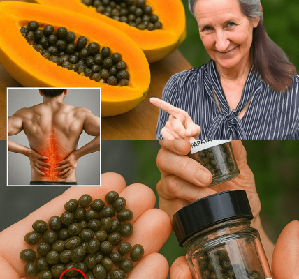 🌿 Discover the Secret Pharmacy in Your Kitchen: Papaya Seeds Unveiled 🌿 Discover the Secret Pharmacy in Your Kitchen: Papaya Seeds Unveiled
