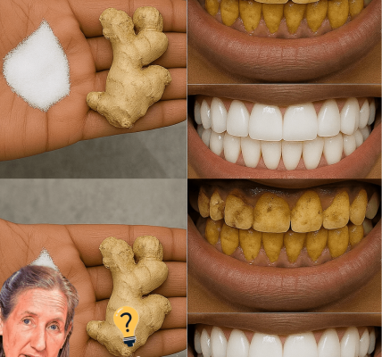 ✨ Sparkle Like Pearls: The Ginger & Salt Teeth Whitening Secret You’ll Wish You Knew Sooner! ✨ Sparkle Like Pearls: The Ginger & Salt Teeth Whitening Secret You’ll Wish You Knew Sooner!